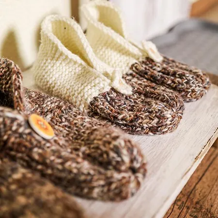 Mnichov Dvor 게스트하우스