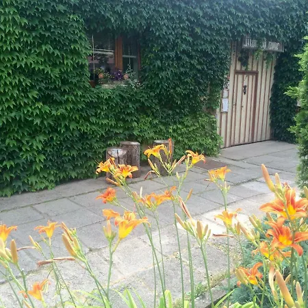 게스트하우스 Mnichov Dvor