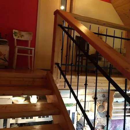 게스트하우스 Mnichov Dvor